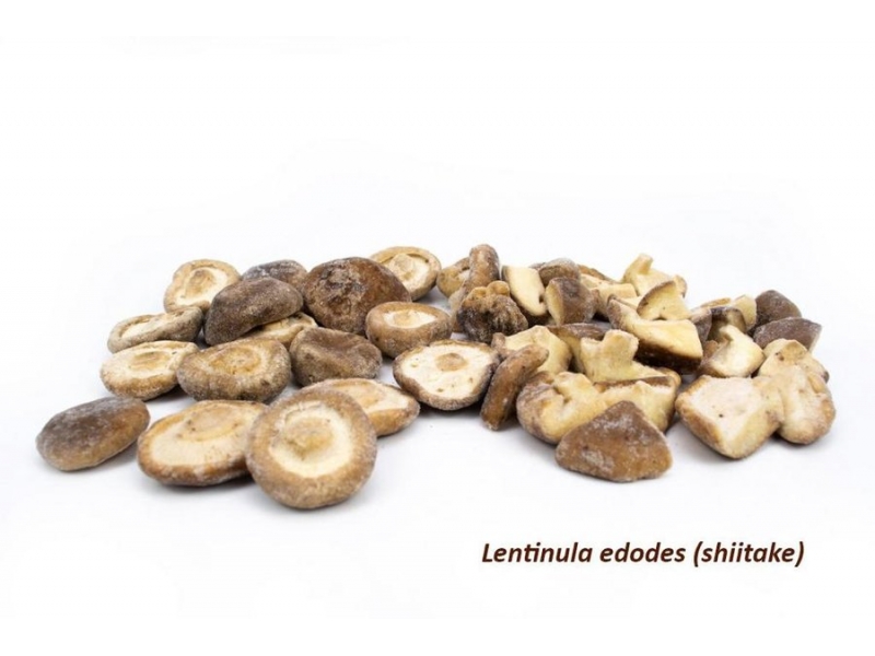Lentinula edodes (shiitake)